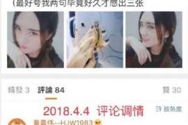 泌阳婚外情调查取证：涉外离婚案件中需提交的材料